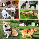 Arnês para cães pequenos, médios e grandes, colete forte para cães, pet shop, tu