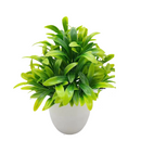 Planta Artificial Decorativa com Vaso