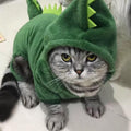 Roupas para cães de estimação, macacões de lã macia e quente para cães pequenos,